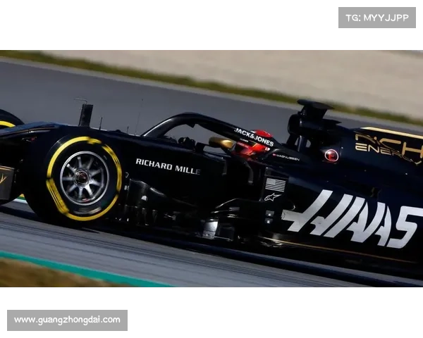 F1一级方程式世界锦标赛全球车迷共赏速度艺术与竞技精神碰撞盛宴